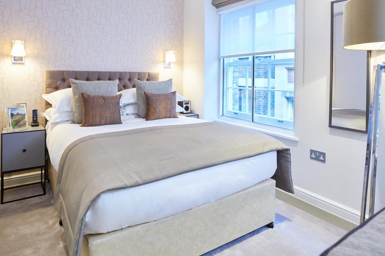 Cheval Calico House Londres